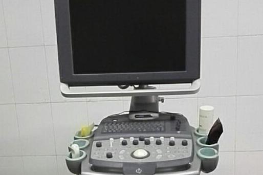 非人灵长类超声诊断系统